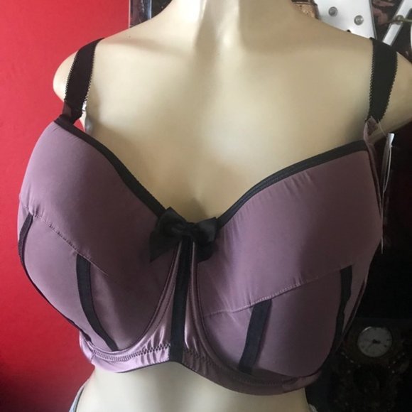 The Charlotte Padded 3 Part Cup Brain Woodrose 44E - Picture 8 of 8